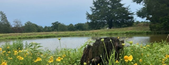 Self-Care Saturday: Curiosity and Wonder